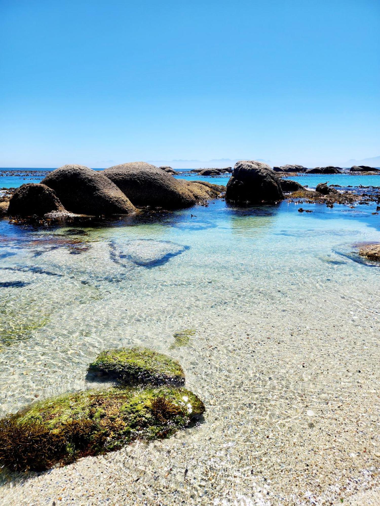 The Tides Bed and Breakfast Simonʼs Town Exteriör bild